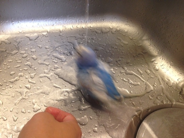 1039.jpeg
