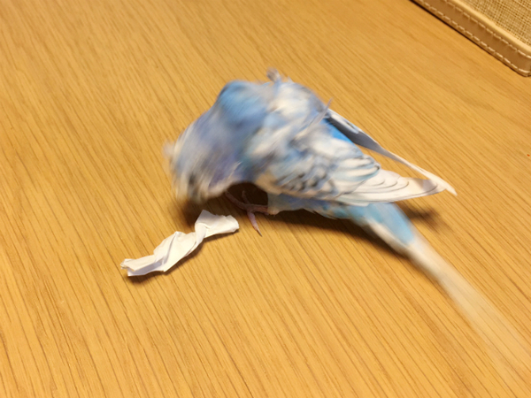 1116.jpg