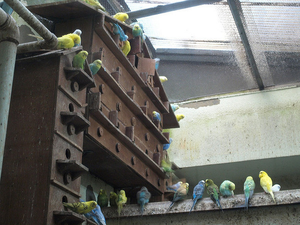 1217.jpg