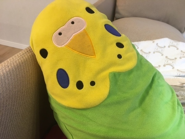 1398.jpeg