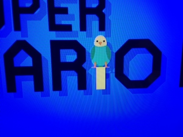 154.jpeg