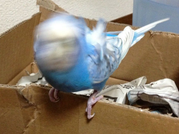 70.jpg