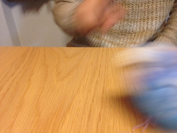 954.jpeg